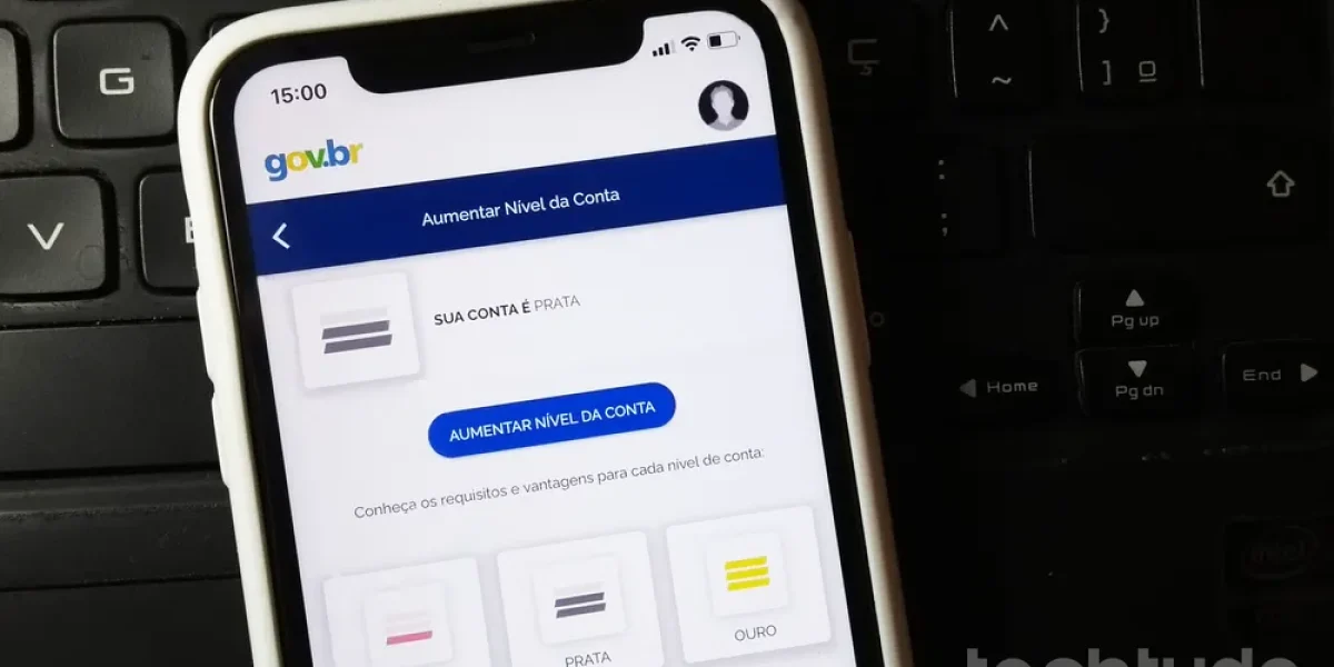 aumentar-nivel-conta-govbr.png